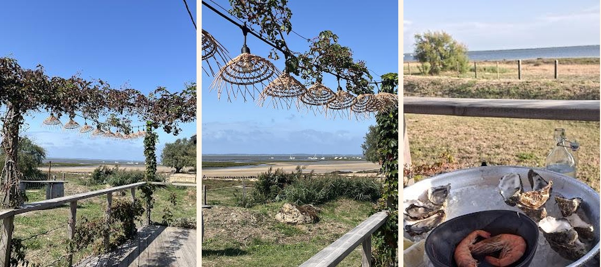 Le Shed Dégustation - Gallery Image 2